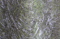 Horns Cross fibreglass roof work